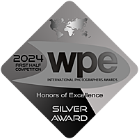 premiu international WPE Silver