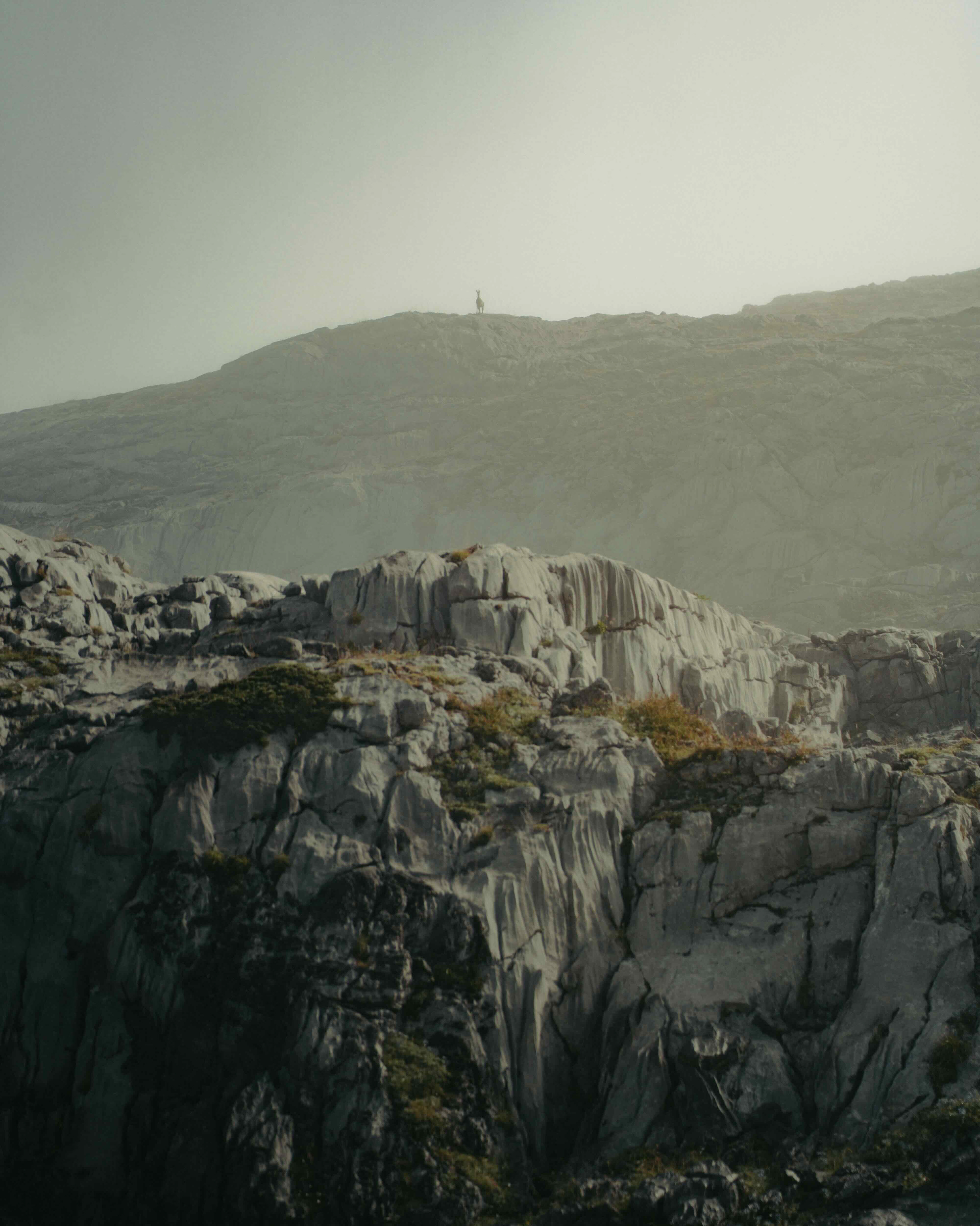 l'espirit montagnard .