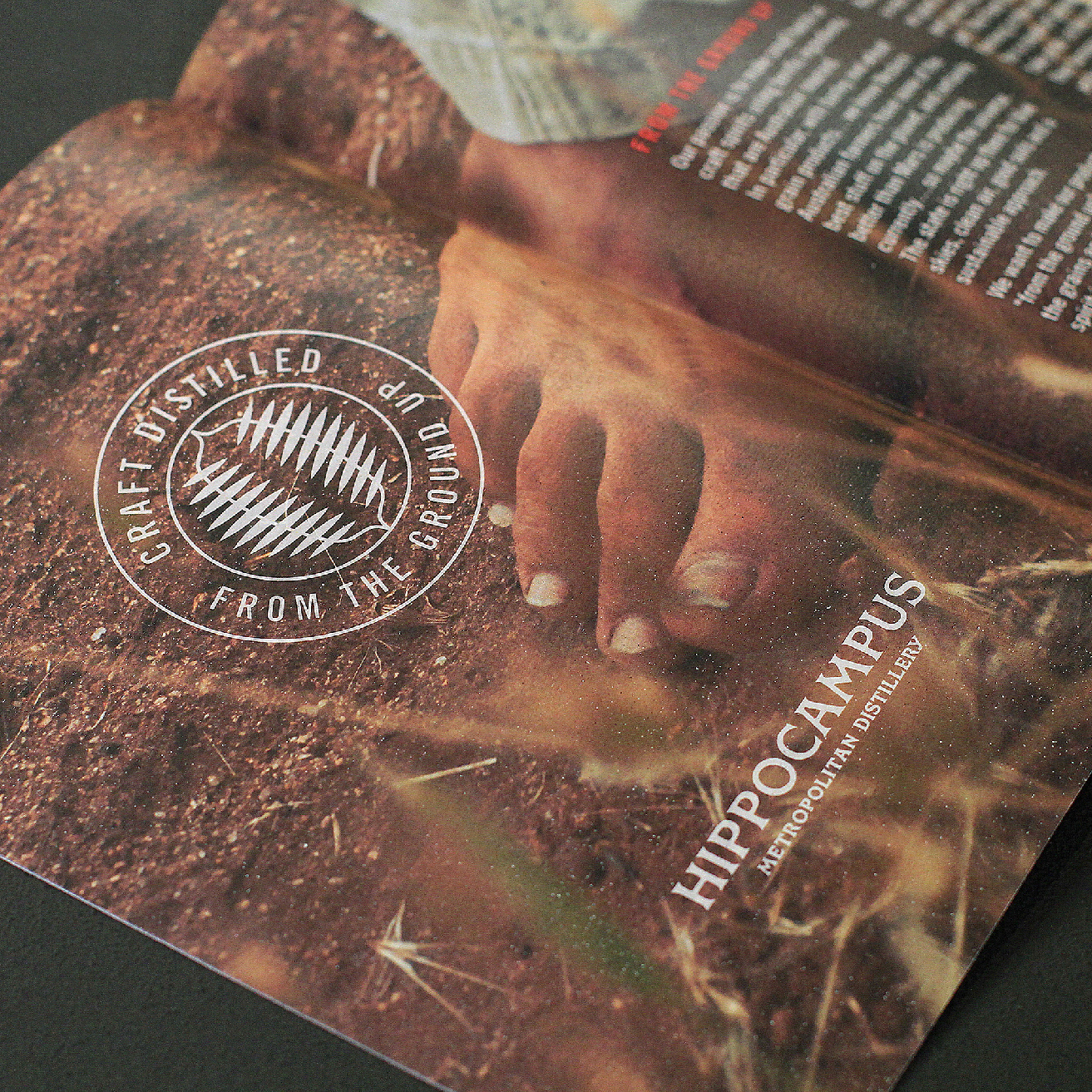 Hippocampus Metropolitan Distillery