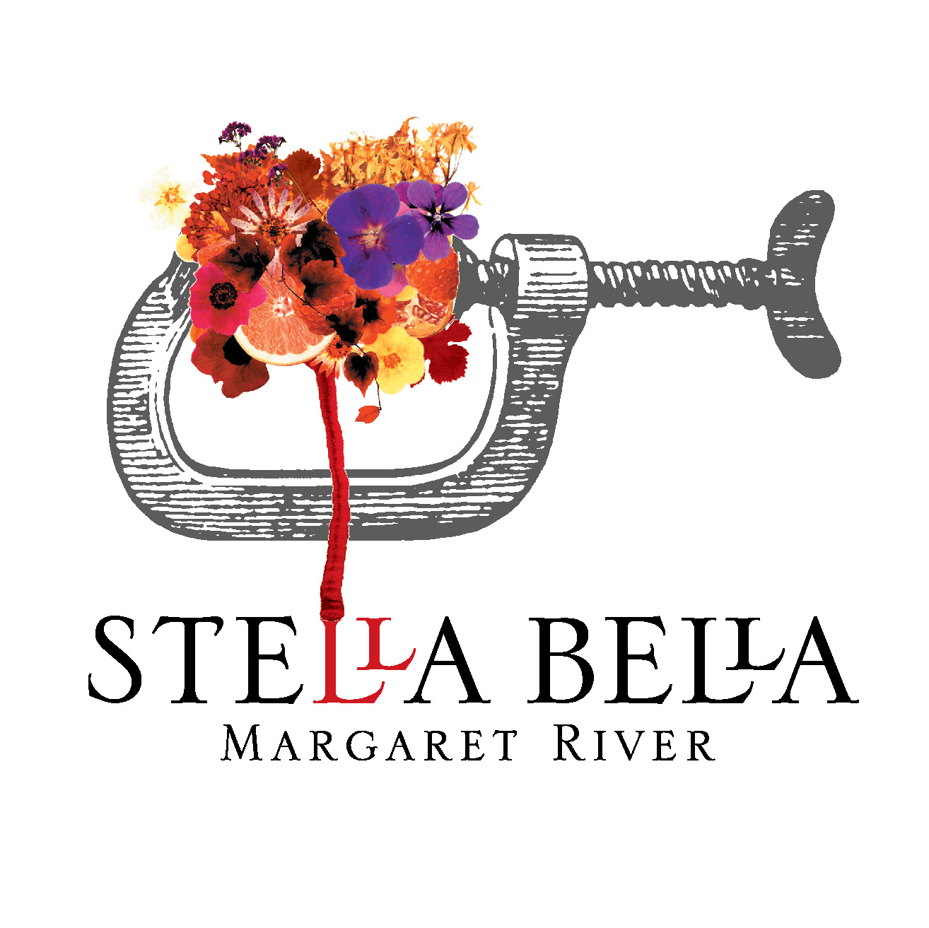 Stella Bella Wines