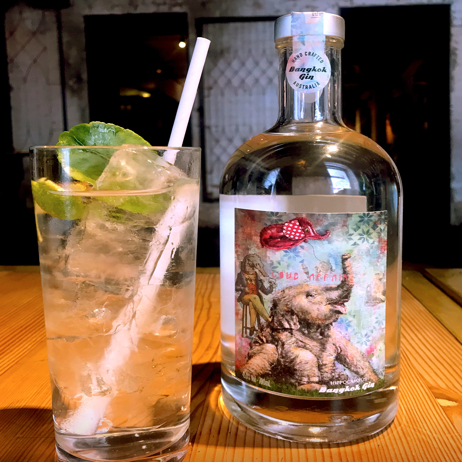 Hippocampus & Long Chim Collaboration