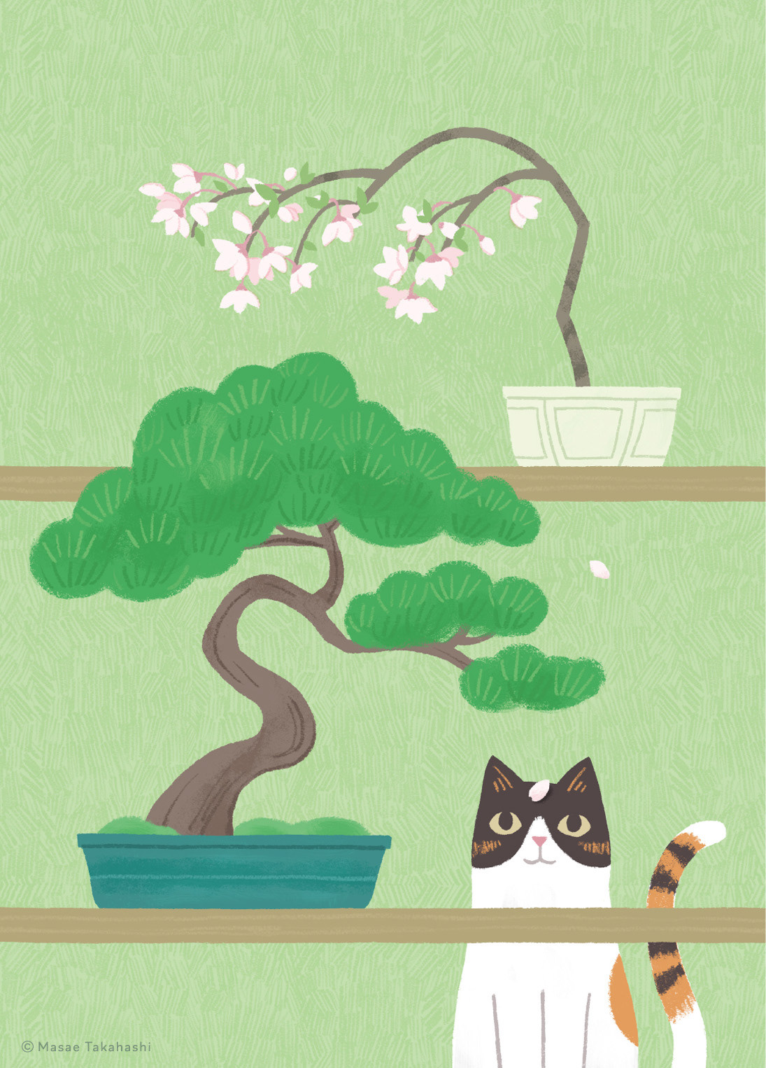 高松盆栽／Bonsai