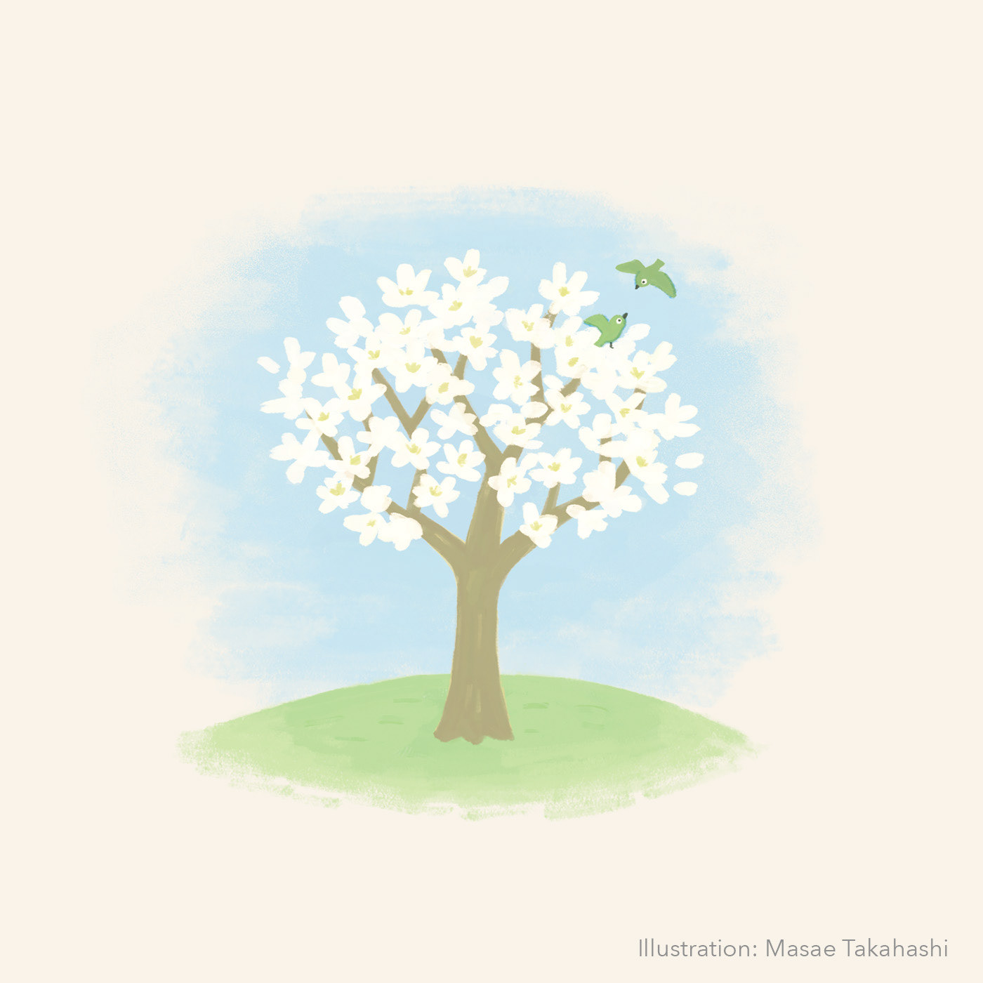 こぶしの木／中面挿絵