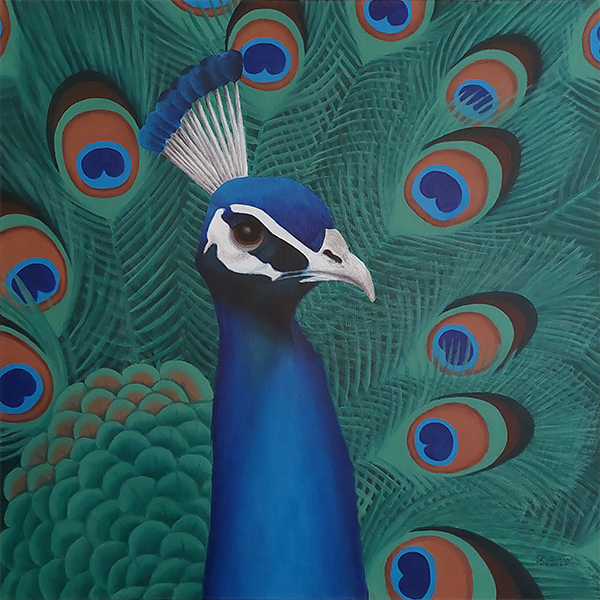 Peacock
