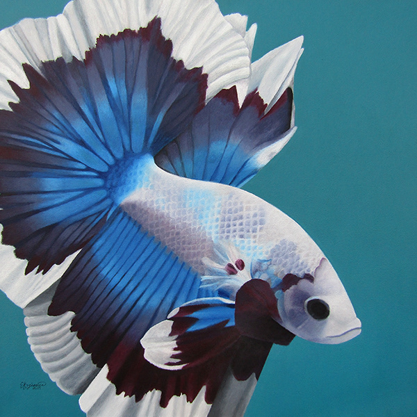 Betta