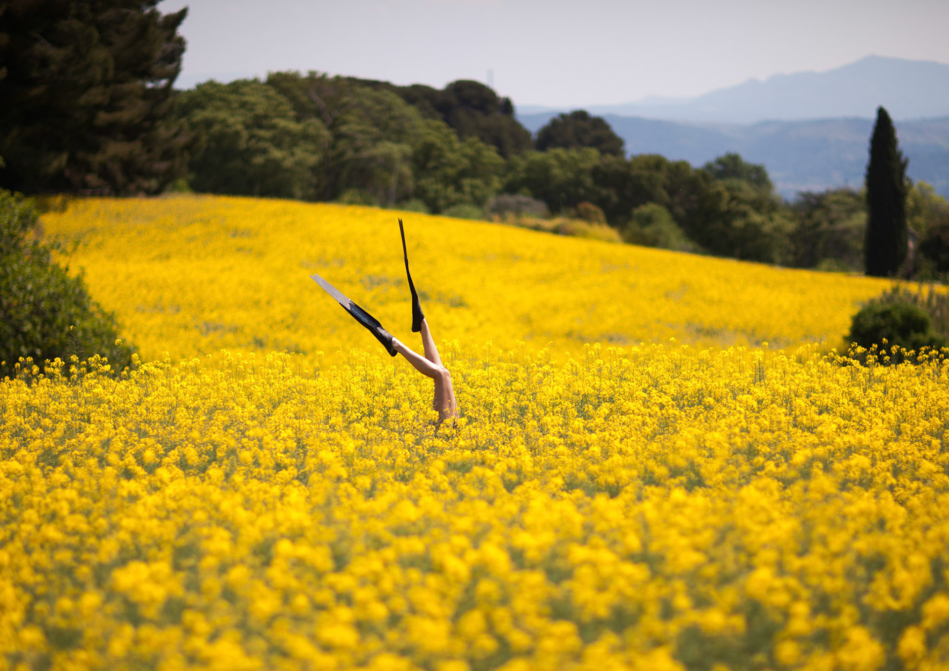 Bain de printemps,Eguilles. 2011