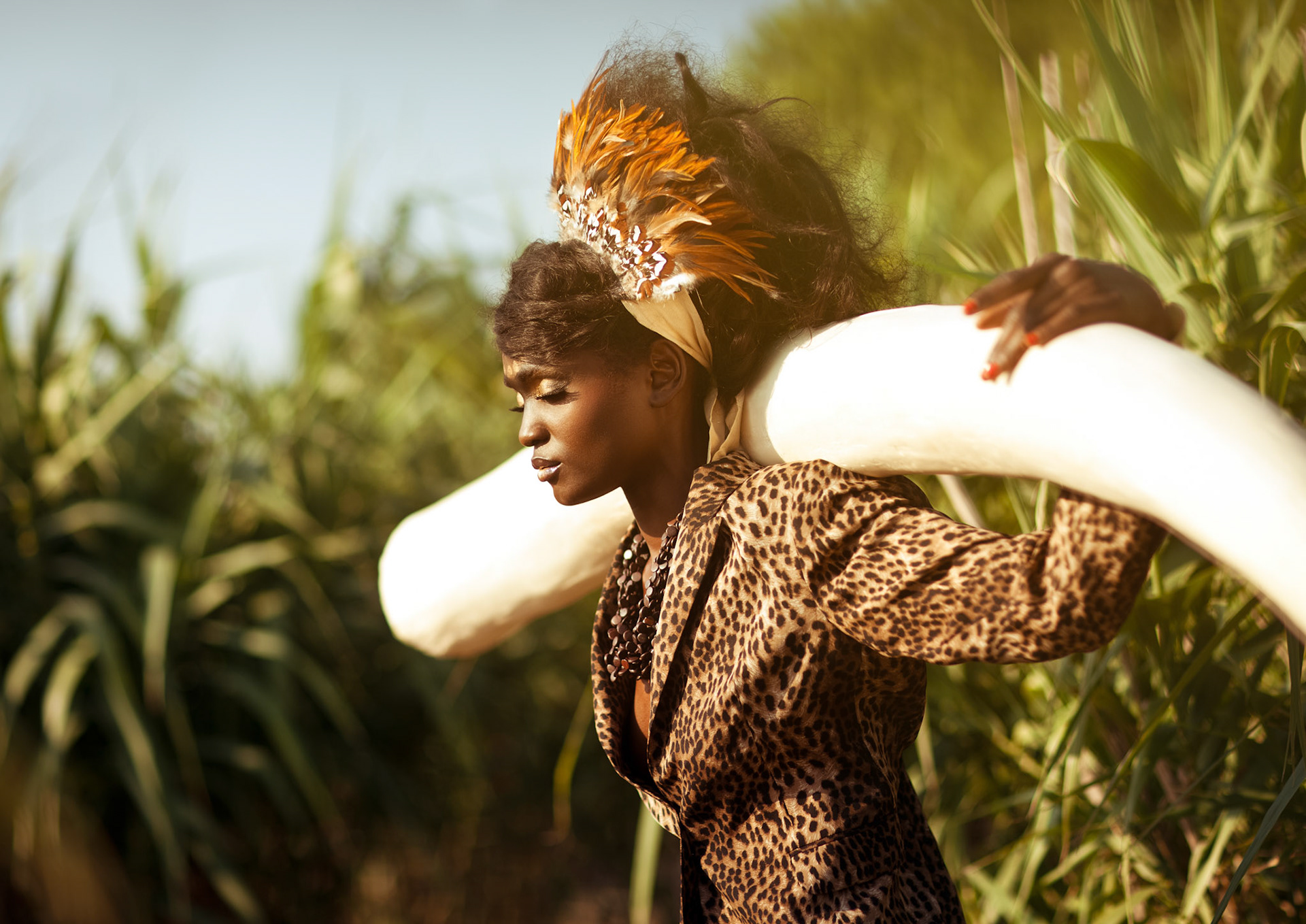 Partie de chasse au style.(11) Provence. 2011