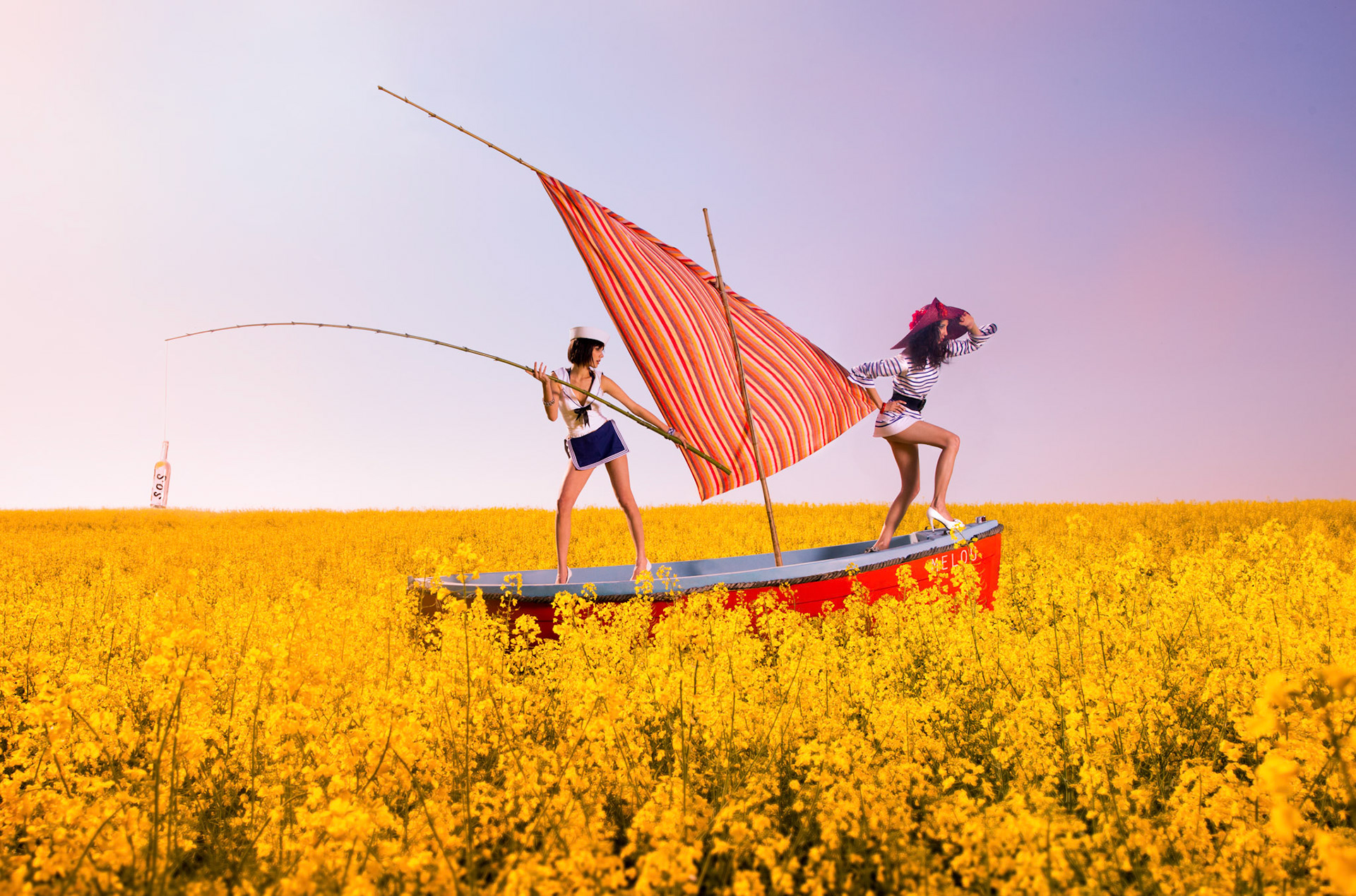 Melou, croisière sur le colza,Puyricard. 2012