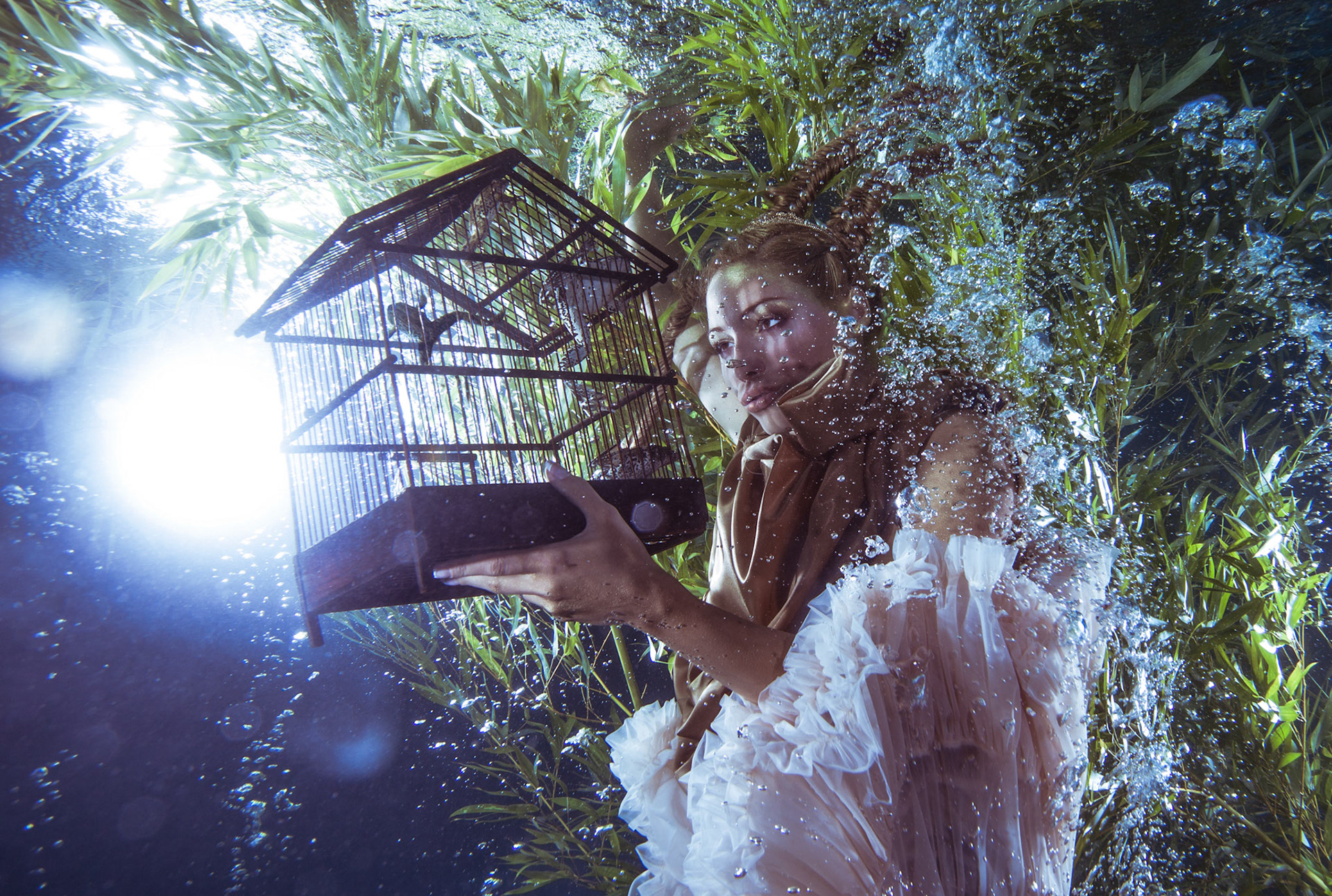 En cage,Puyricard. Image sous marine 2010