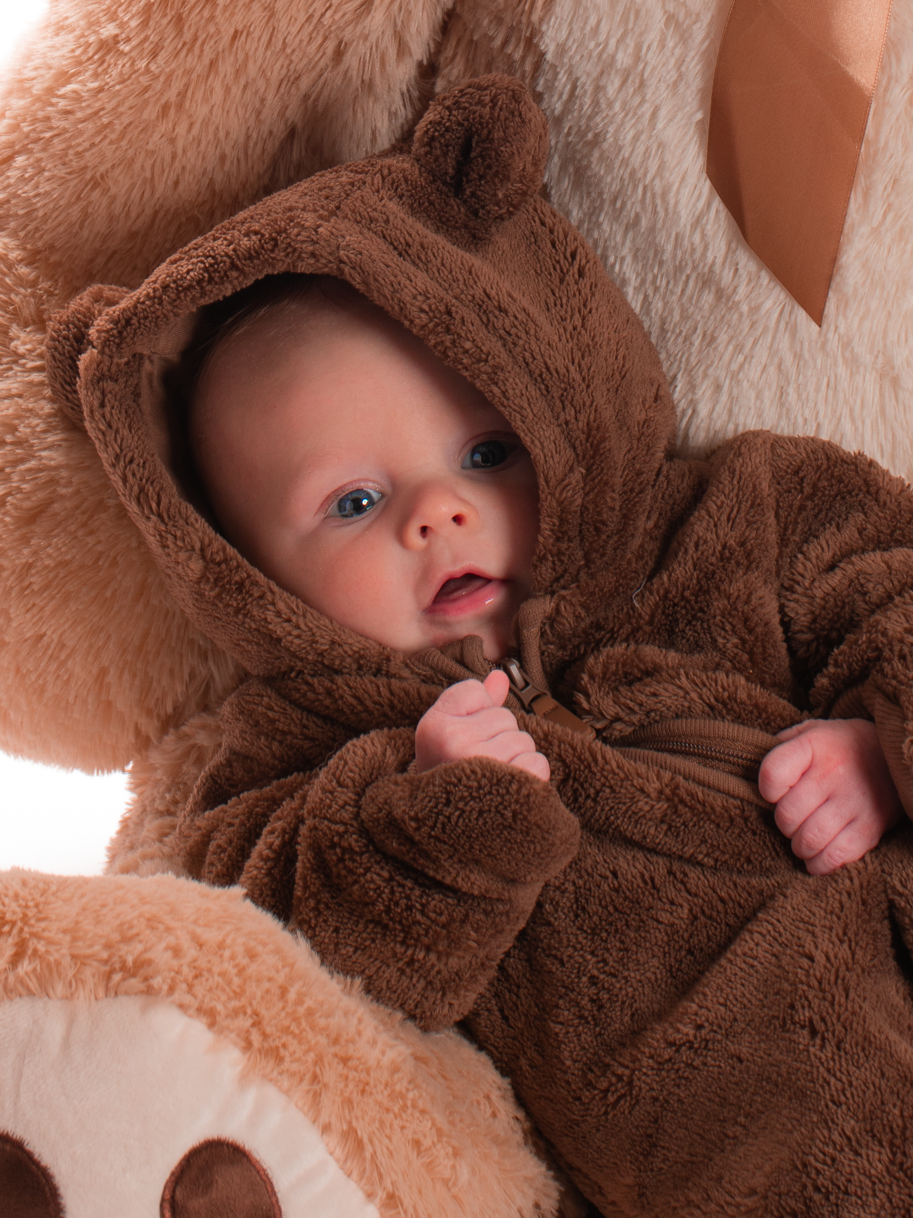 Itto the Lil' Bear - Baby Portrait - Client (2023)