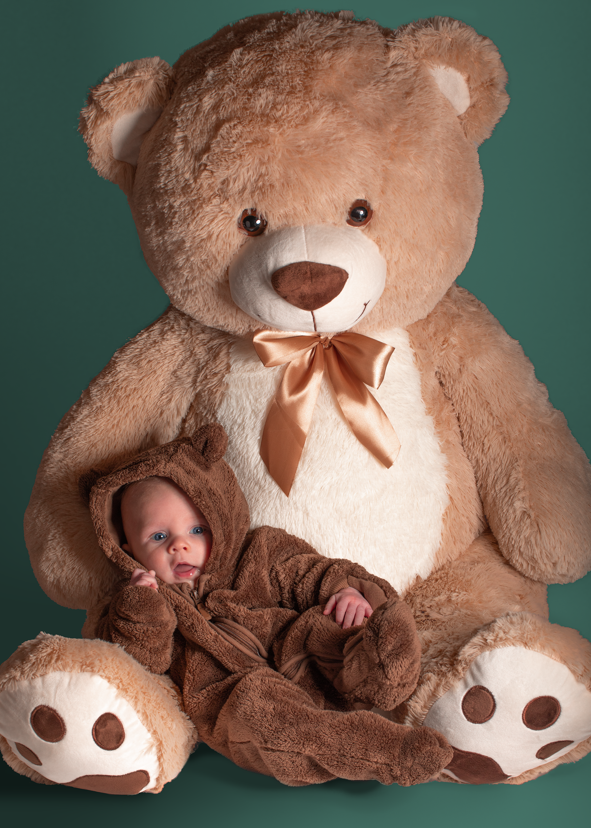 Itto the Lil' Bear - Baby Portrait - Client (2023)