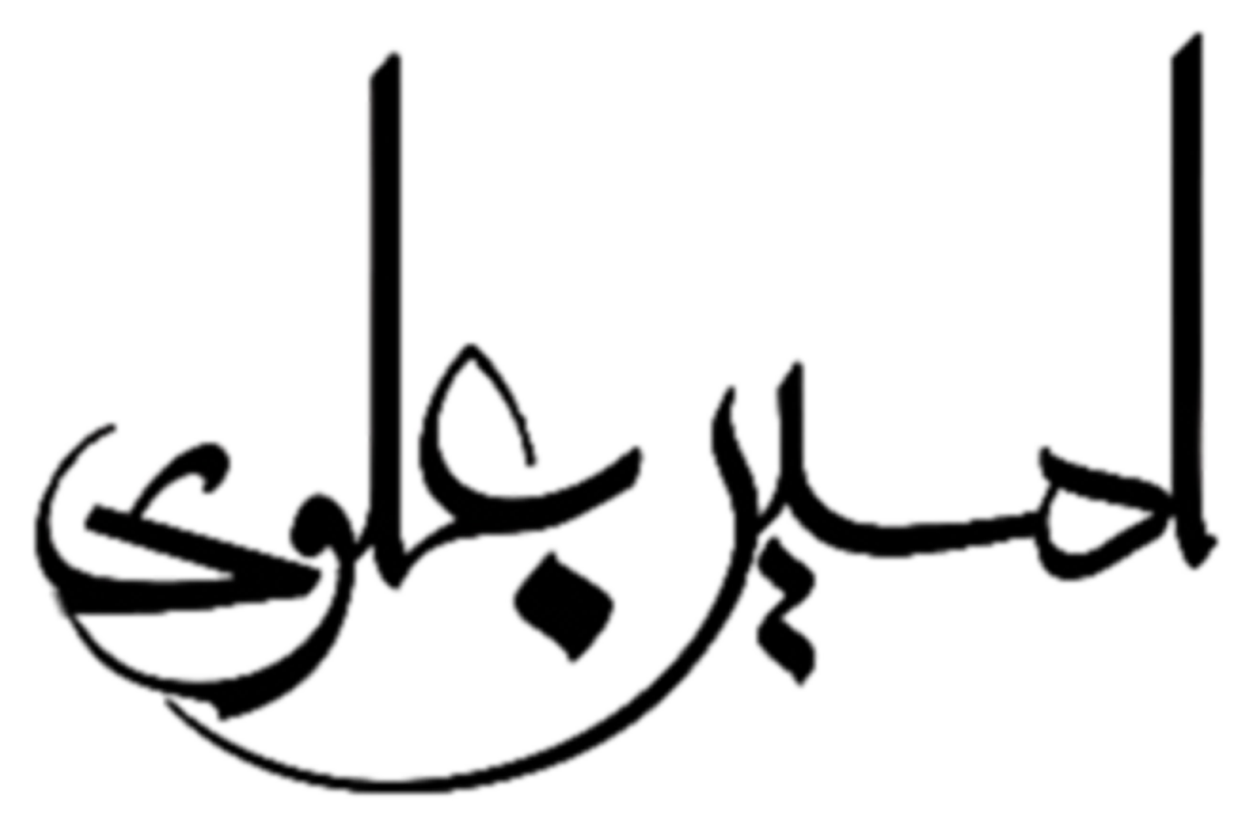 Amin Alavi