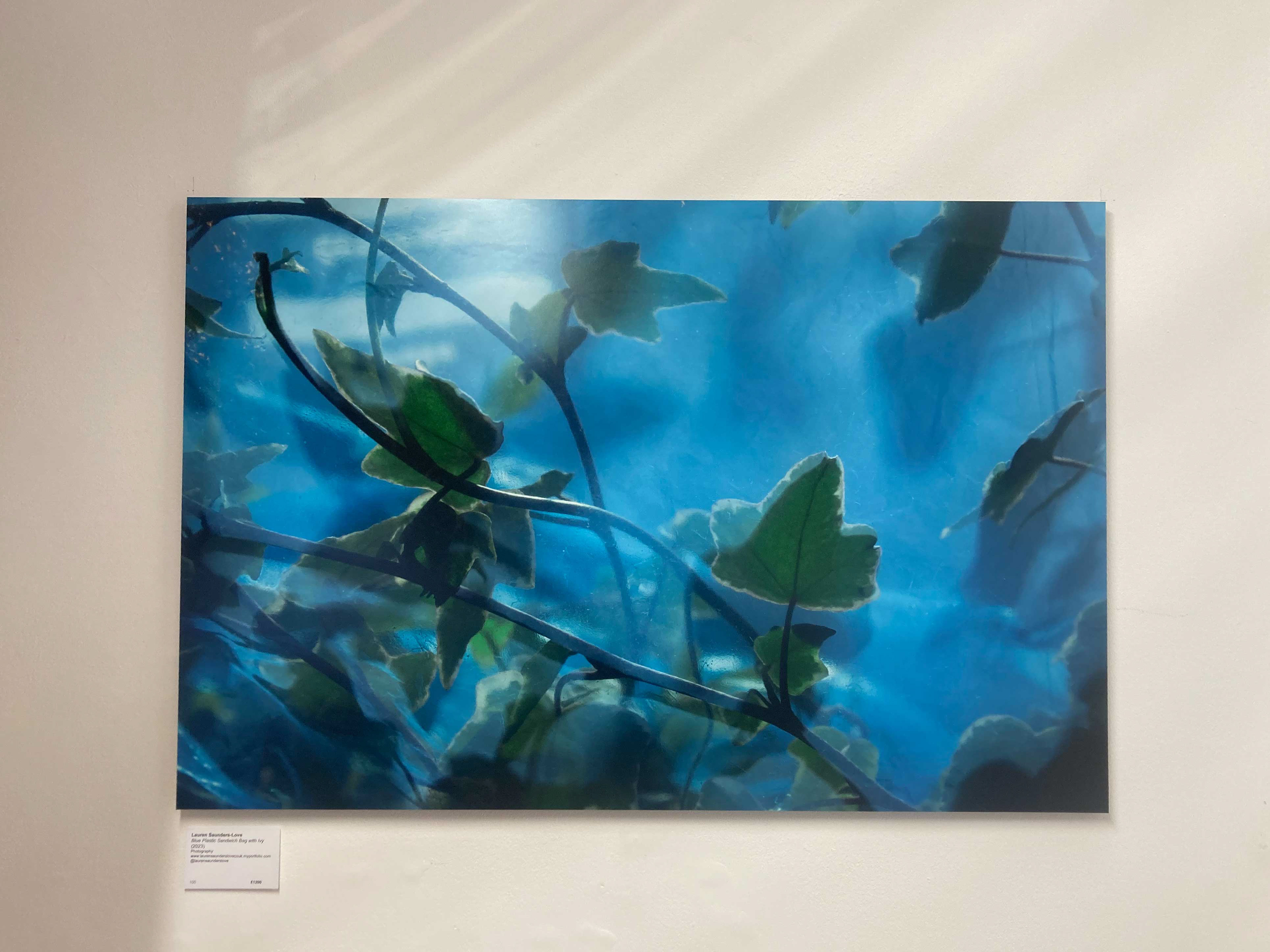 Letchworth Open, Broadway Gallery, Letchworth, 2024