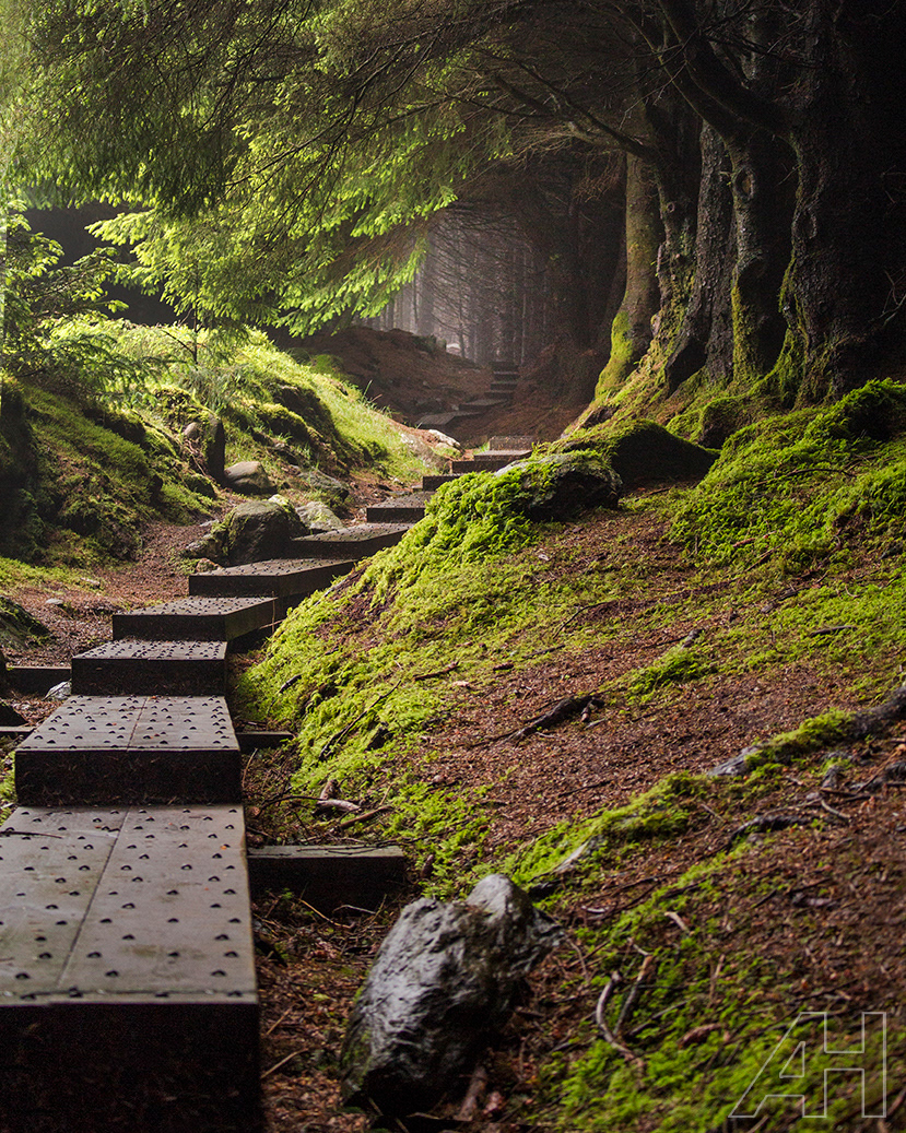 Ballinastoe Steps