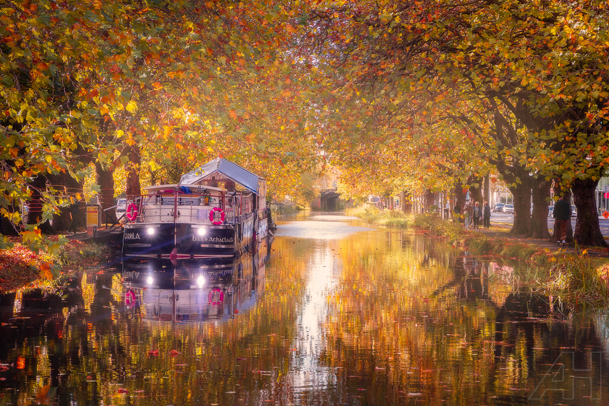 Mespil Canal - Autumn