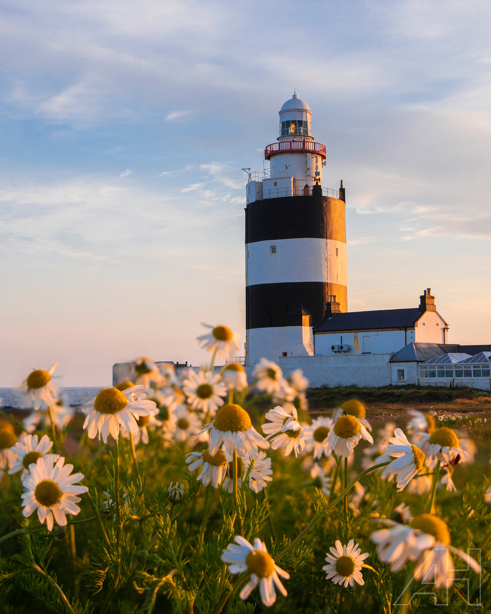 Hook Lighthouse Sunset