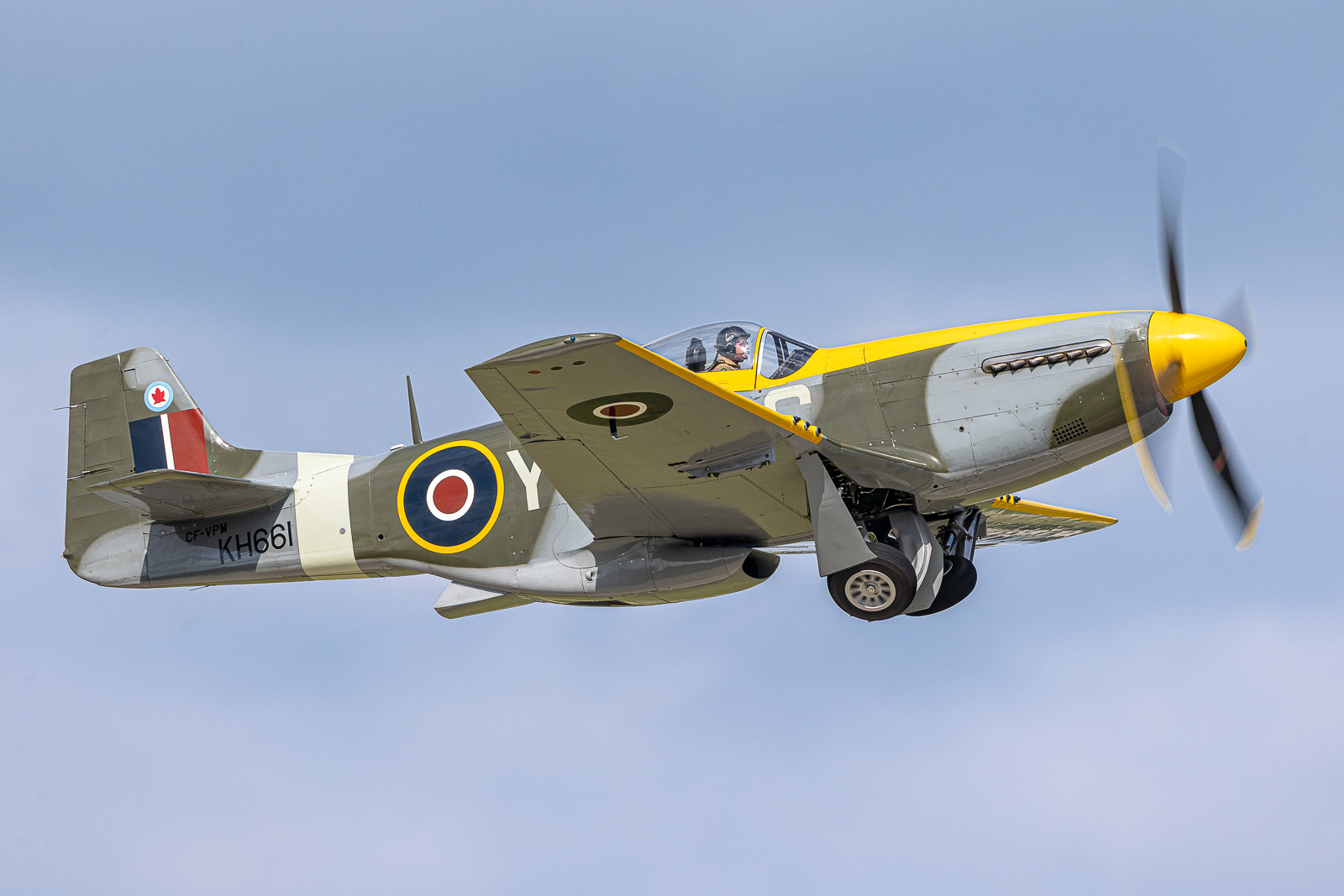 P-51D Mustang / CF-VPM