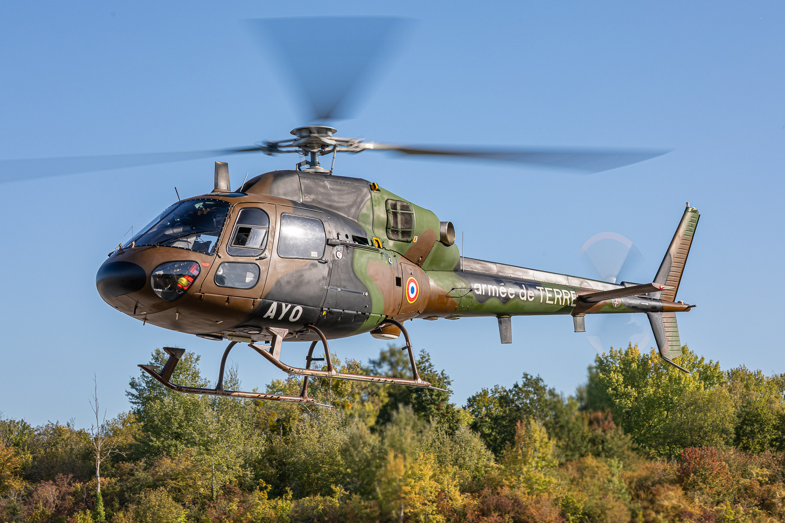 AS555UN Fennec / 5602 / AYO