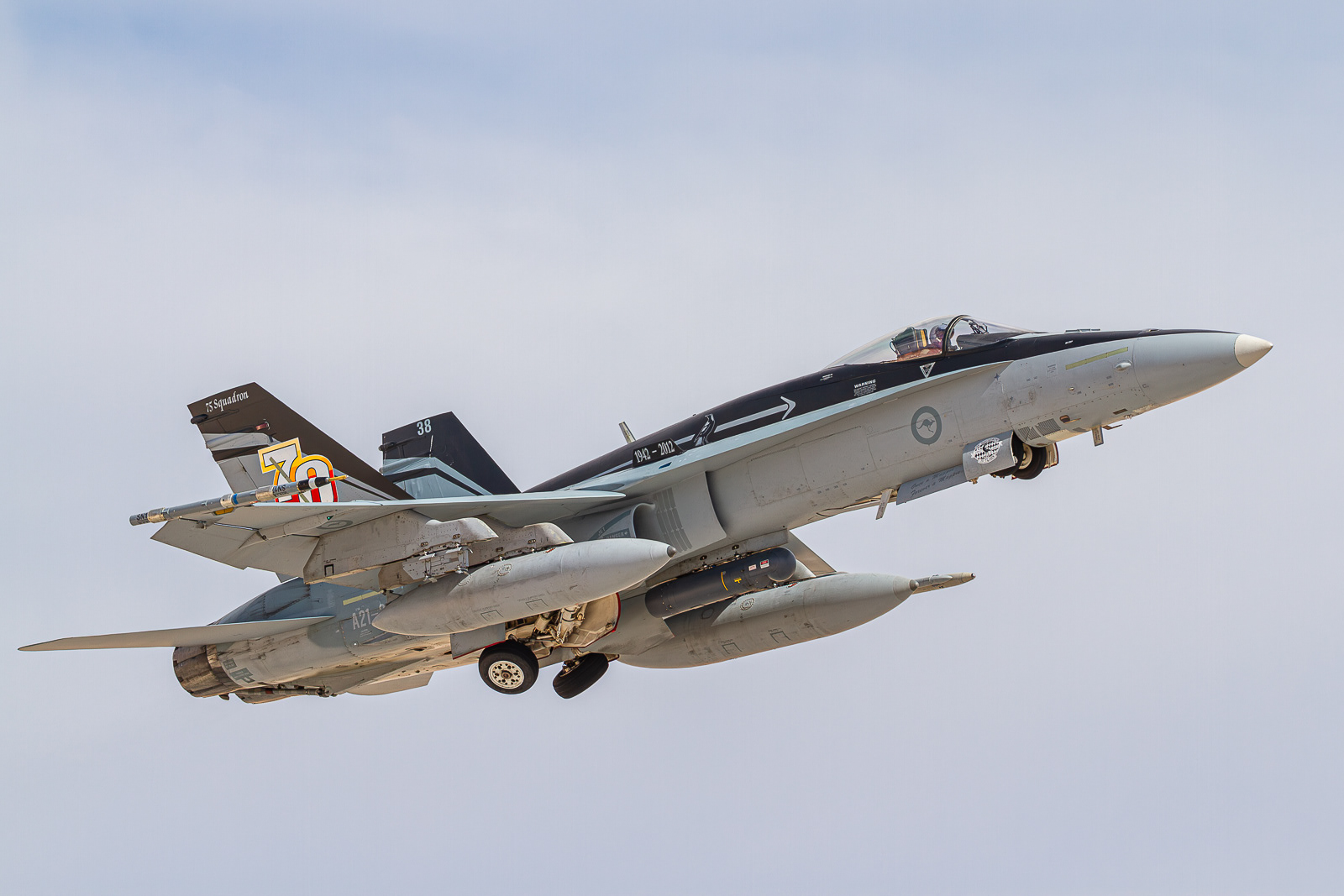 F/A-18A Hornet / A21-38