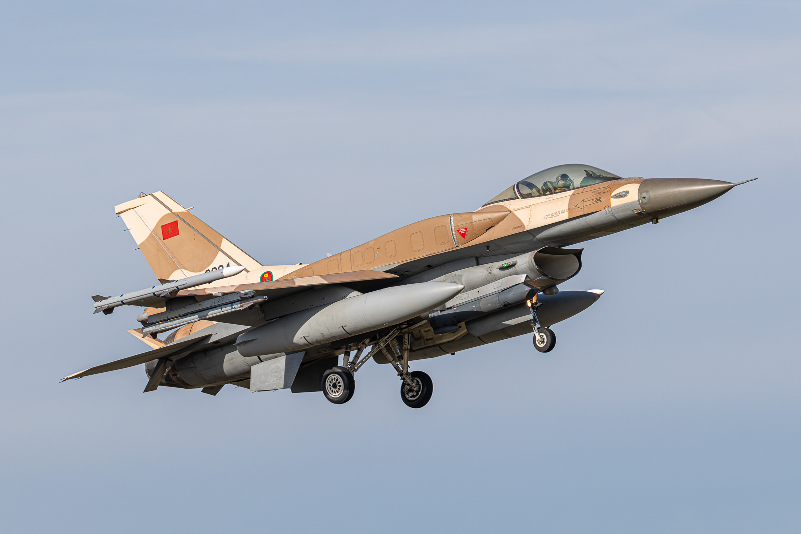 F-16C Fighting Falcon / 08-8004