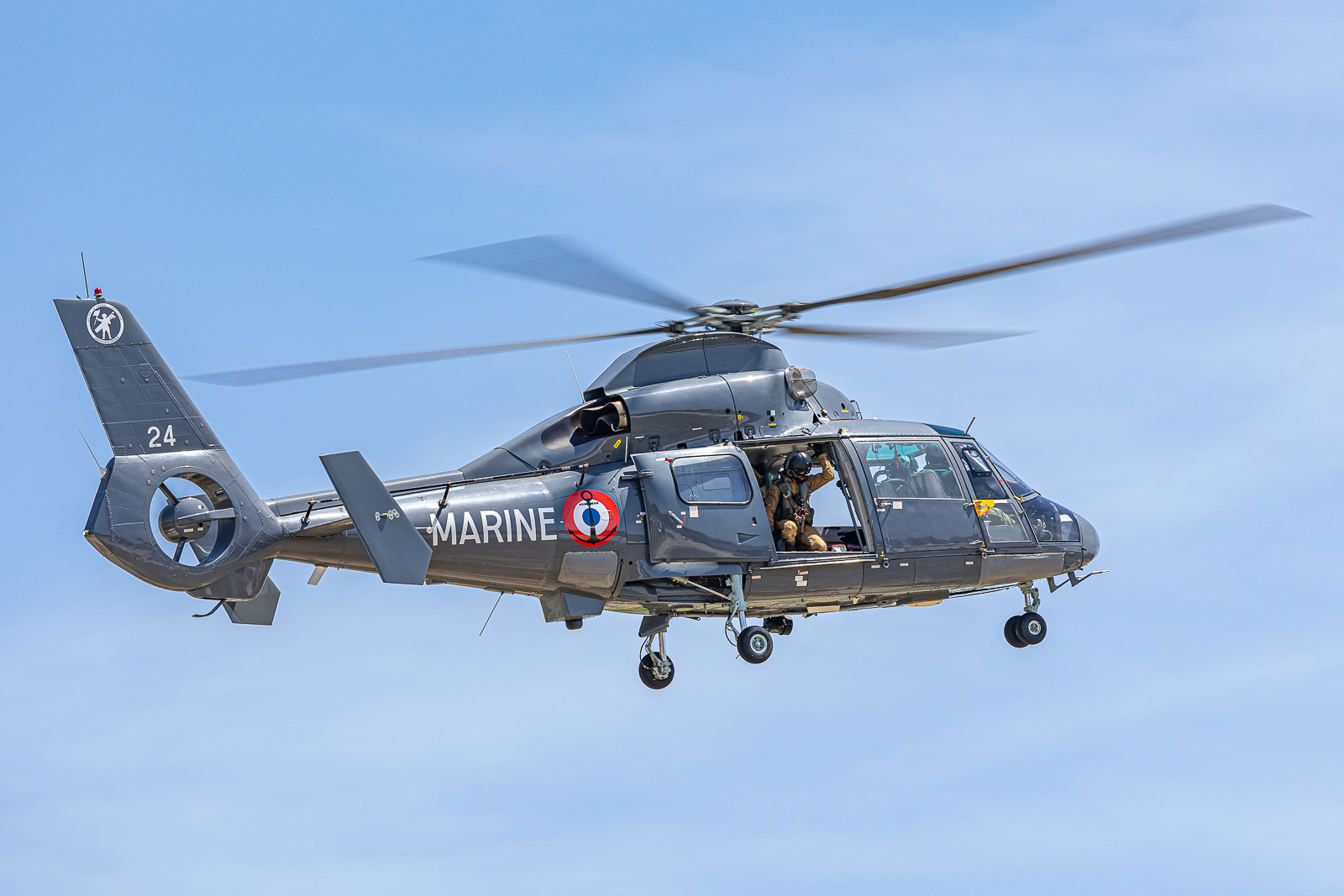 SA365N Dauphin / 24 / 6024