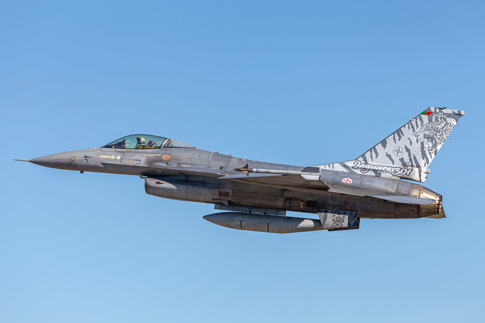 F-16AM Fighting Falcon / 15106