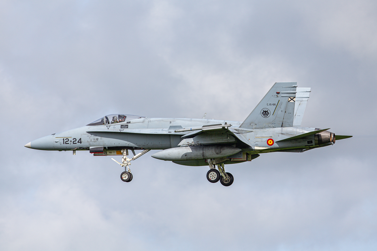 EF-18A Hornet / 12-24 / C.15-66