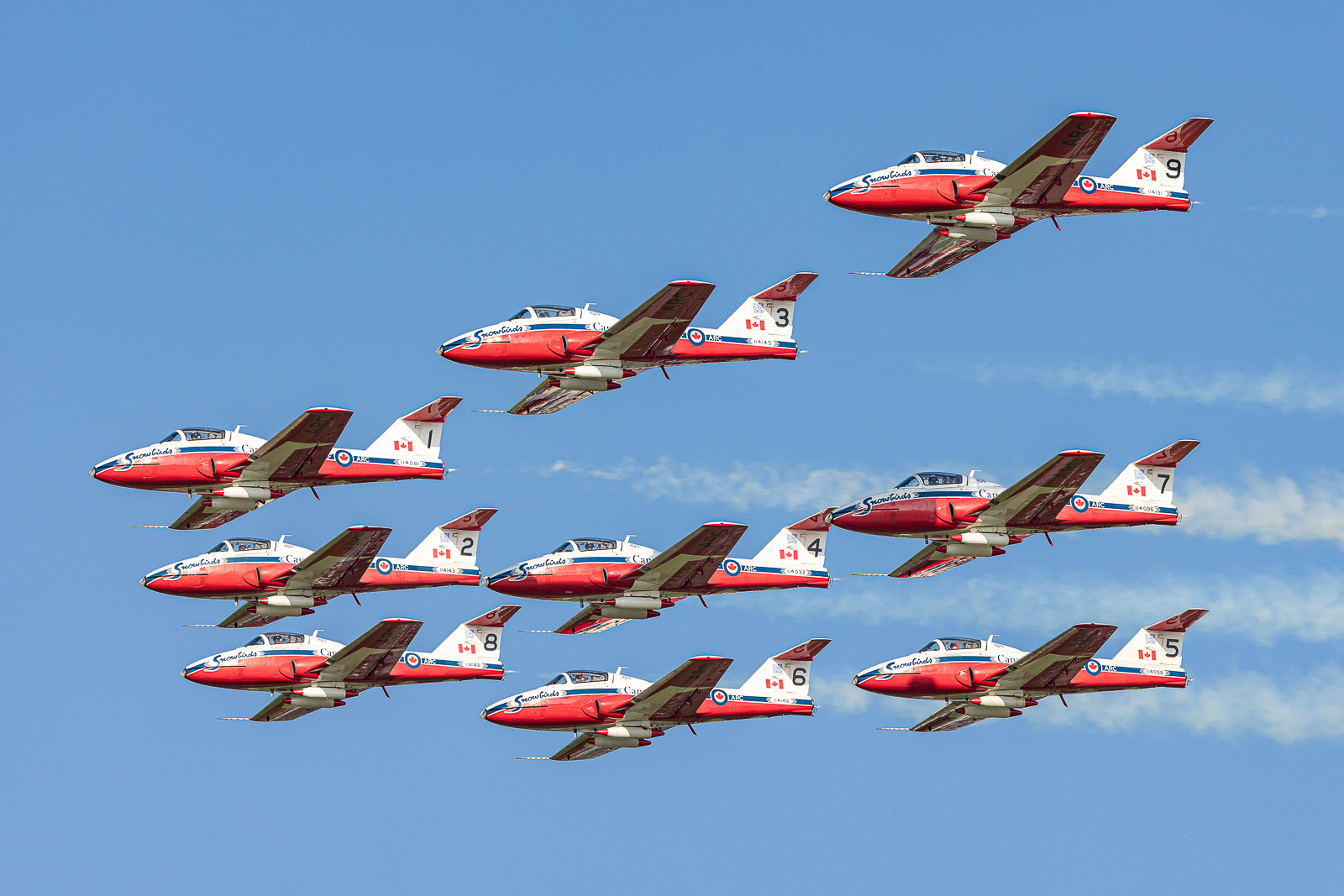 Snowbirds
