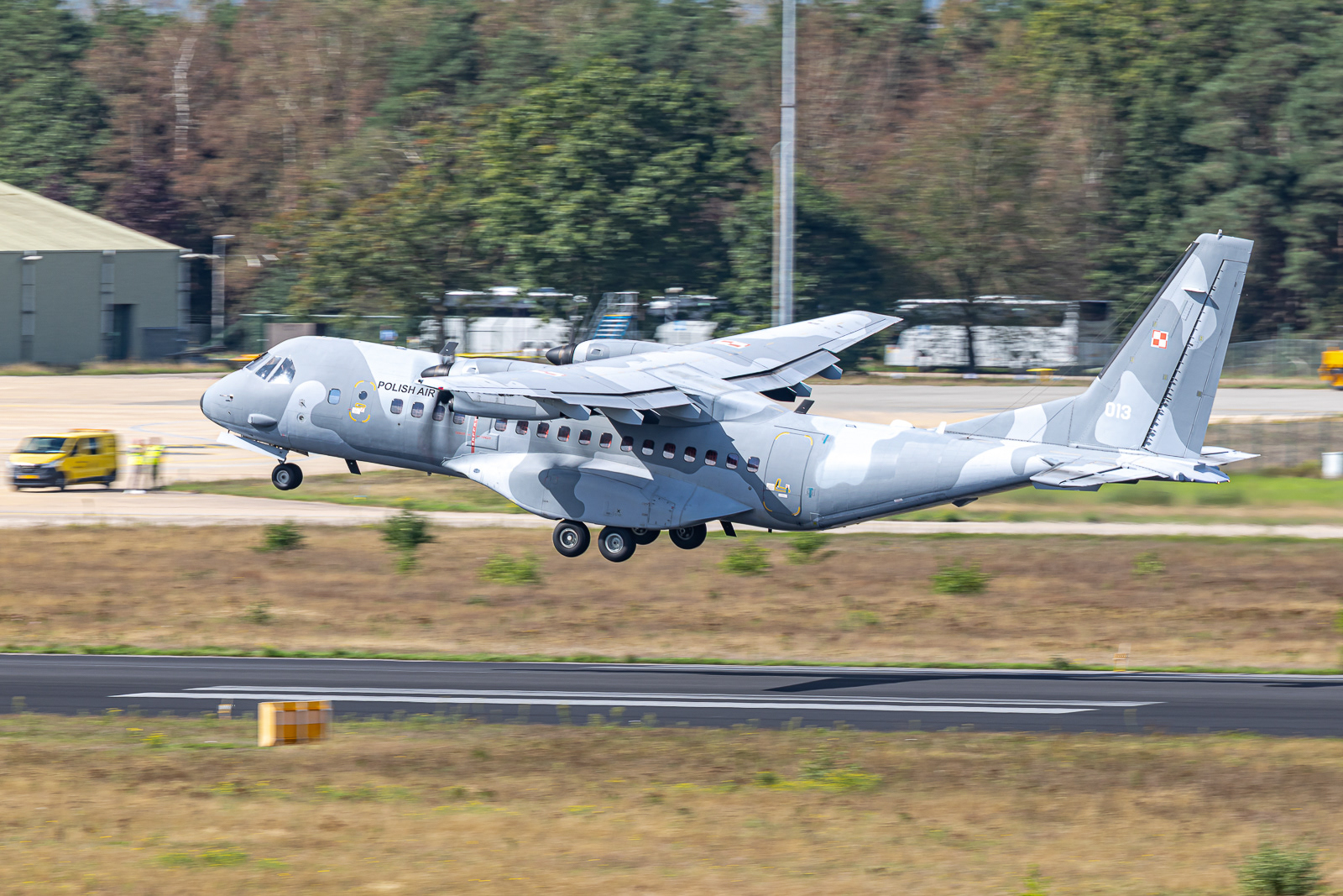 C295M / 013