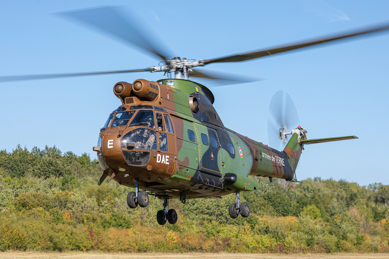SA330 Puma / 1049 / DAE