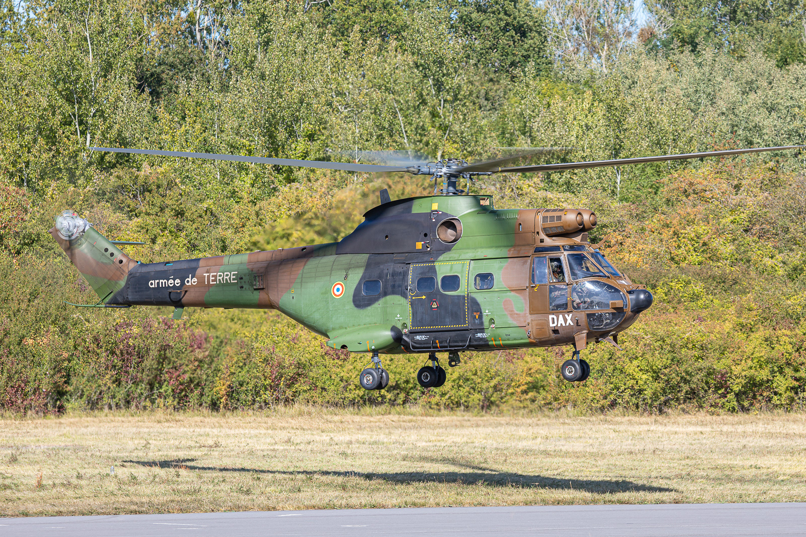 SA330 Puma / 1214 / DAX