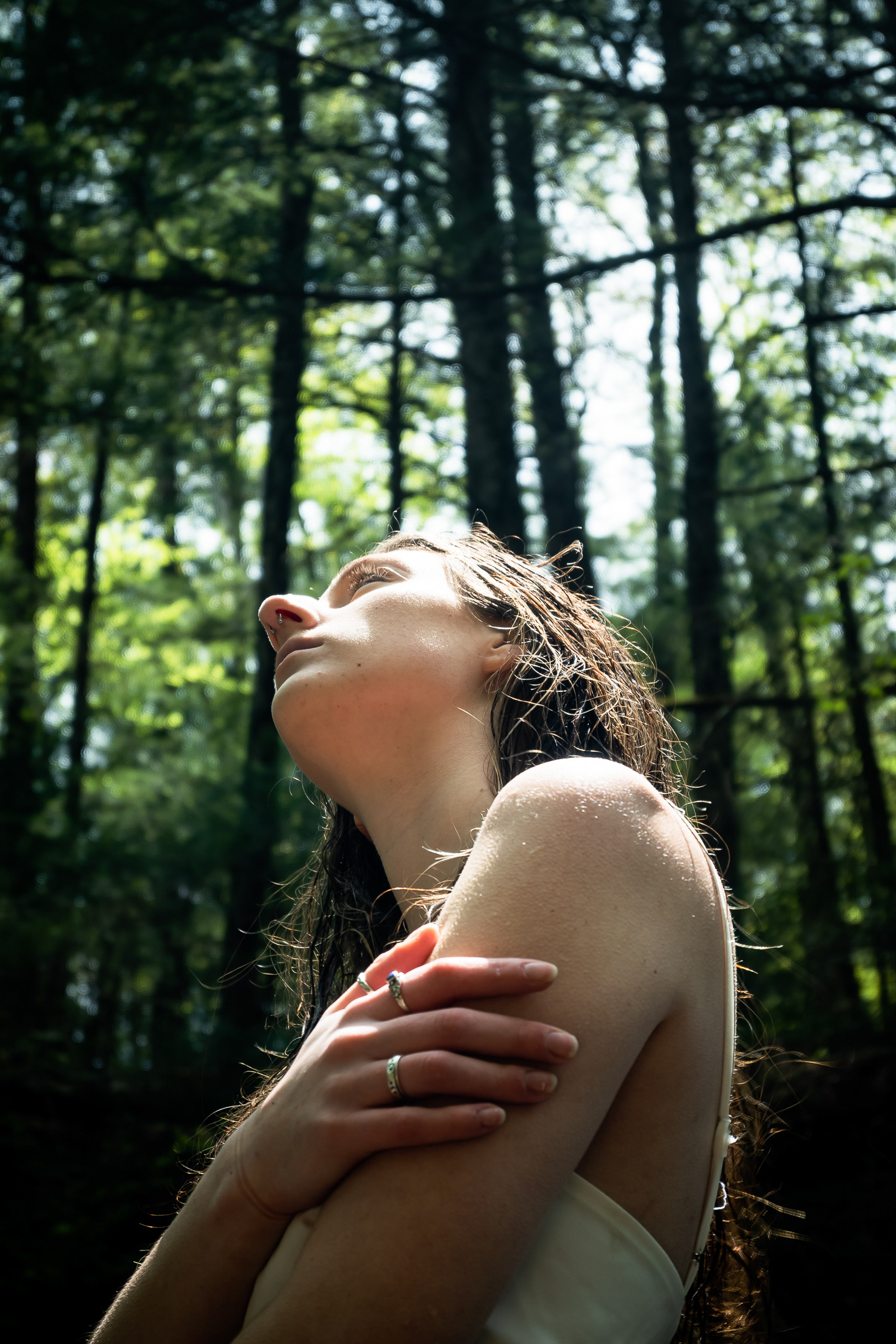 sara.troy44@gmail.com