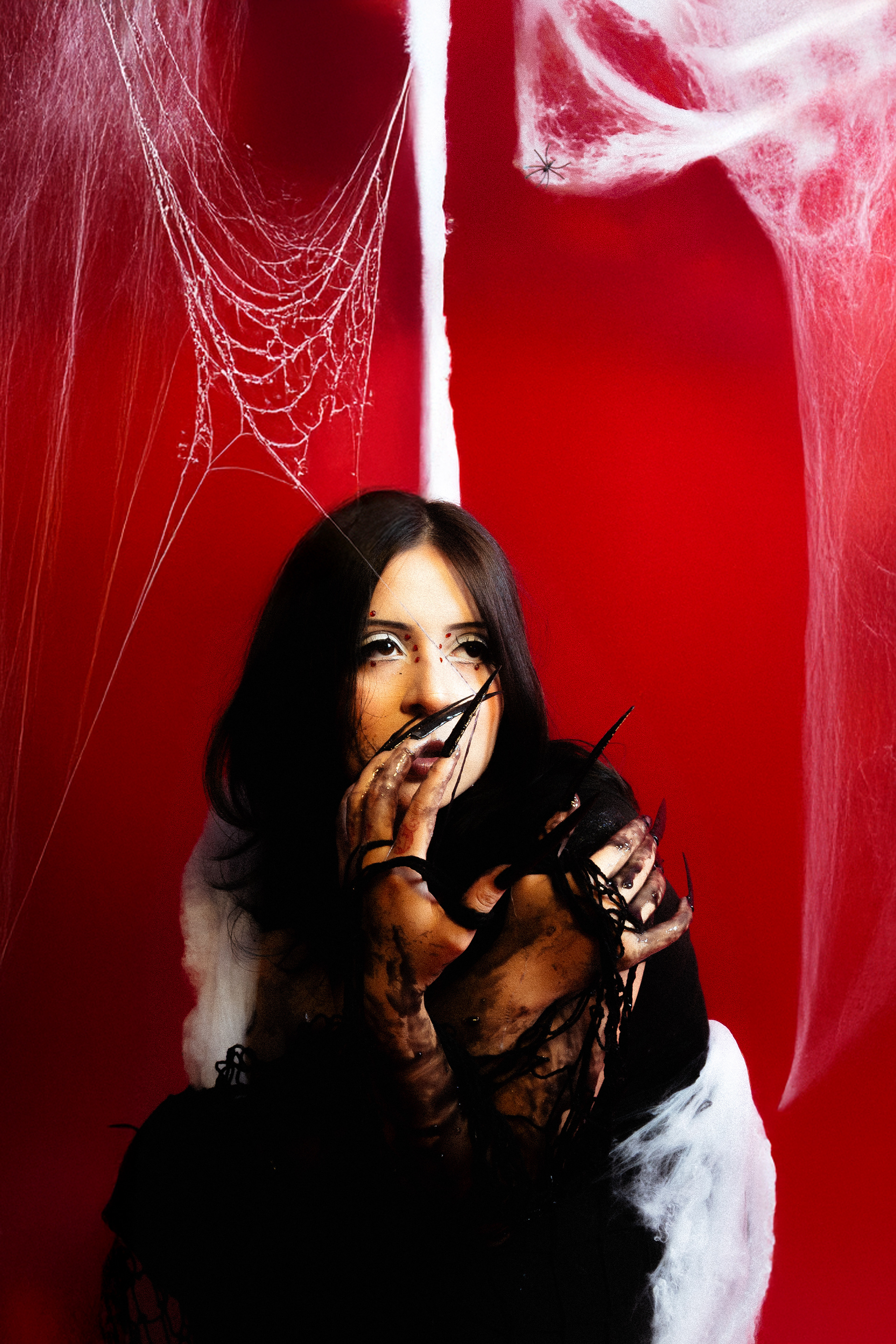 domilive.DA@gmail.com