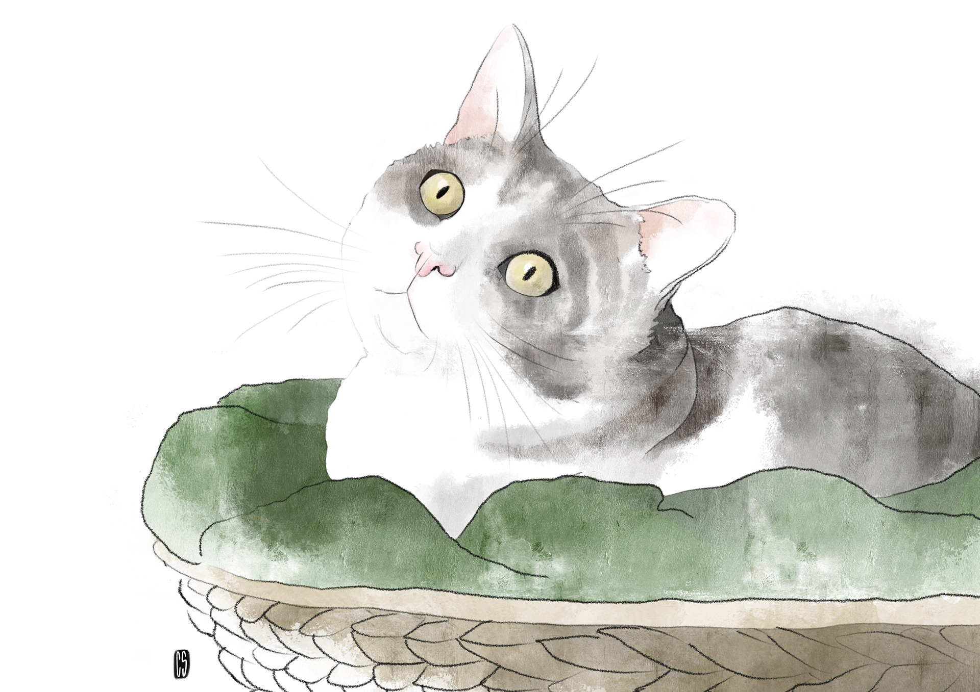 commande portrait 2020