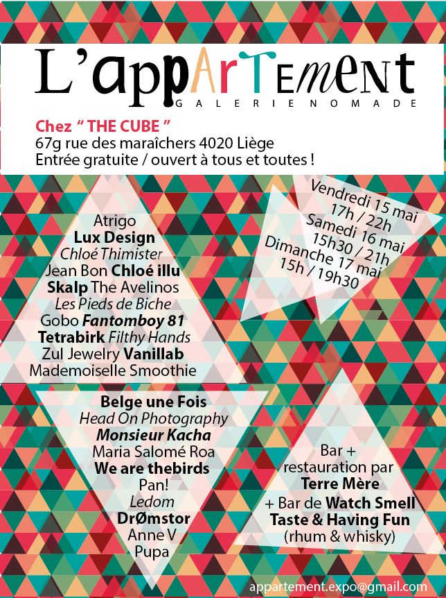 exposition l'Appartement 5eme participation 2015
