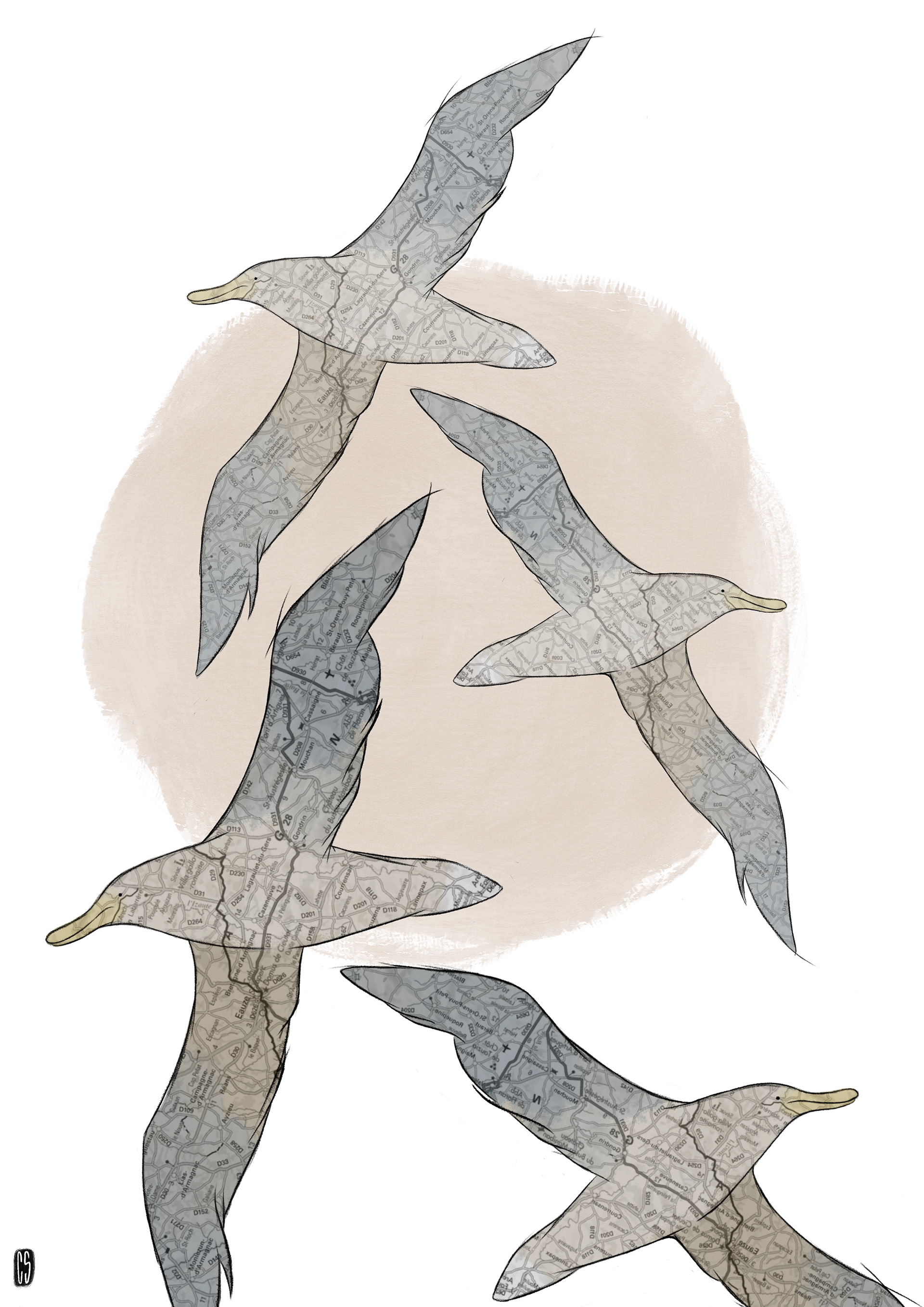 dessin pou le film " les oiseaux de passage" 2022