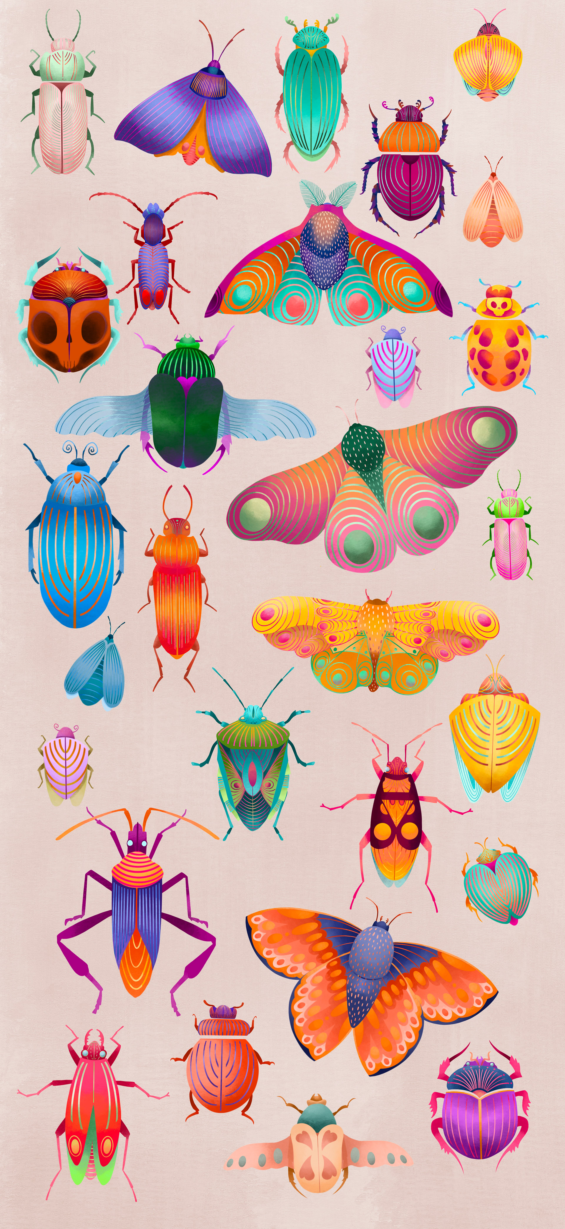 illustration exposition à " la galerie" 2022