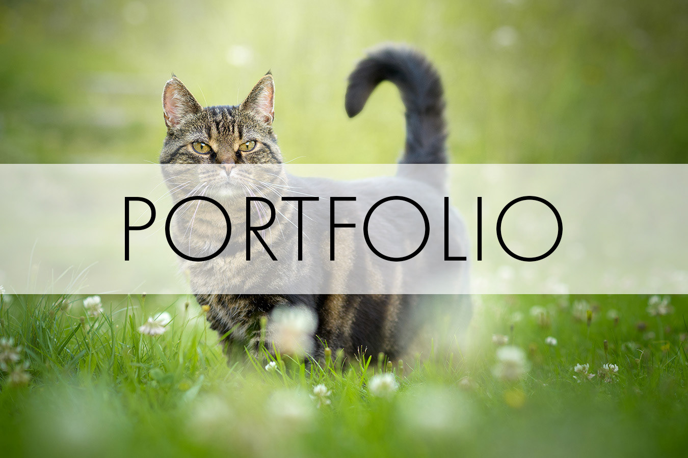 bild med texten portfolio