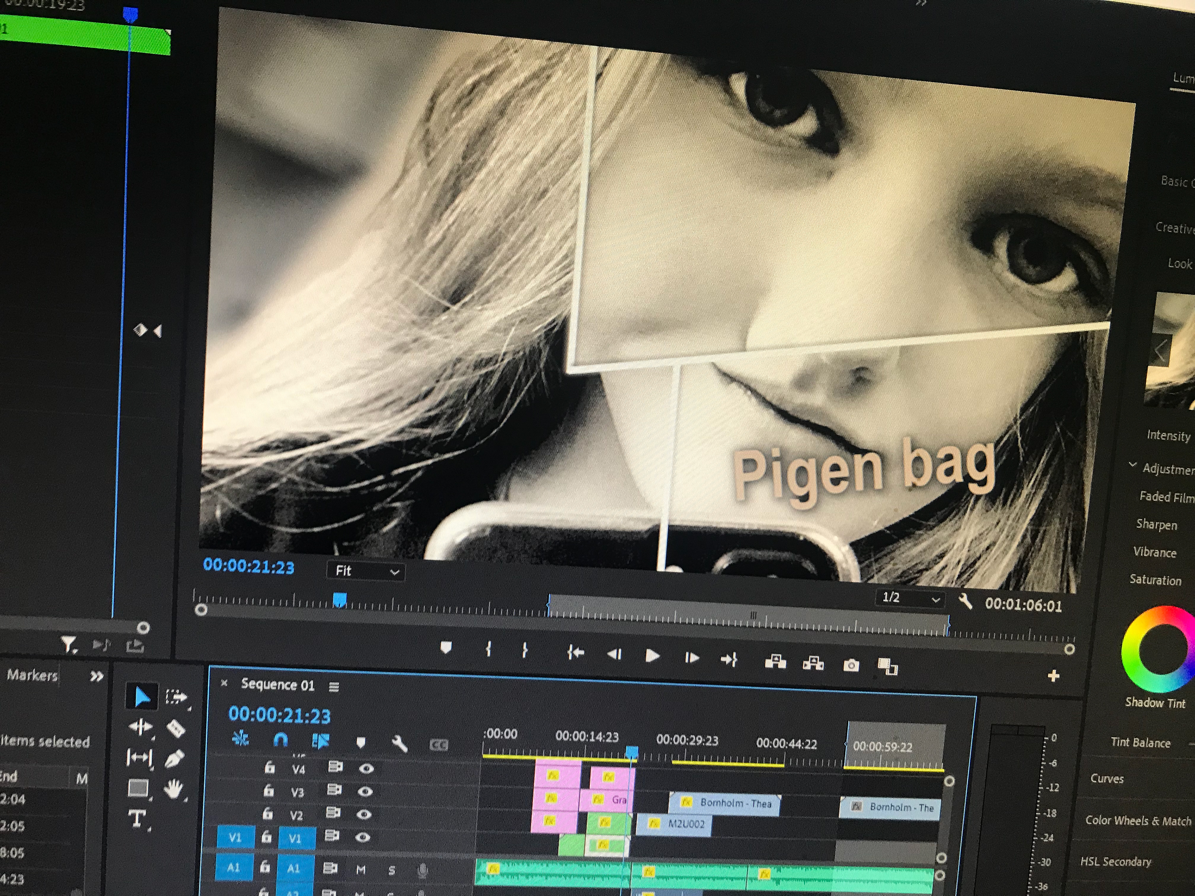 Pro Adobe løsninger, Nordic-InfoHub.dk