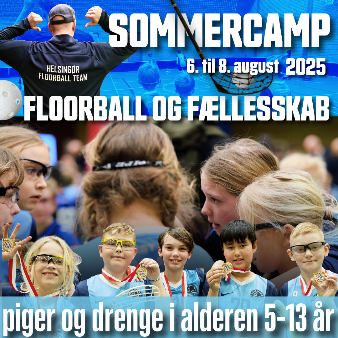 Kundecase, Nordic-InfoHub.dk