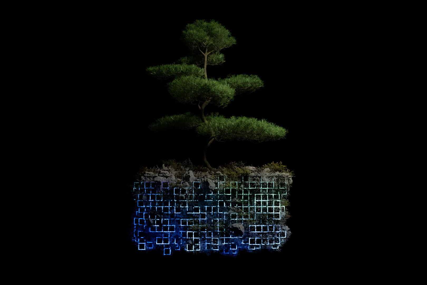 A tree grows in a segment of the blockchain.
