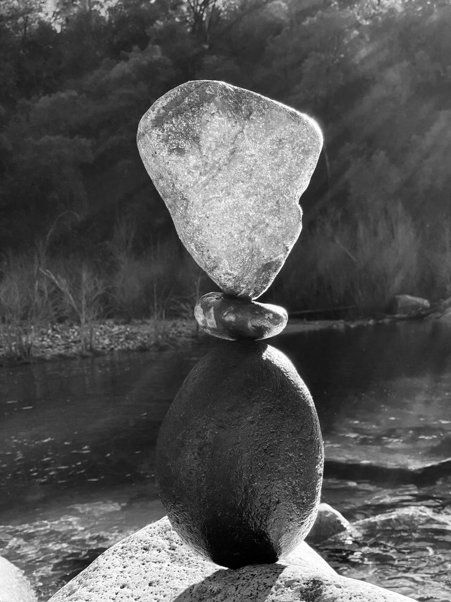 Everyone and Everything Seeks Balance