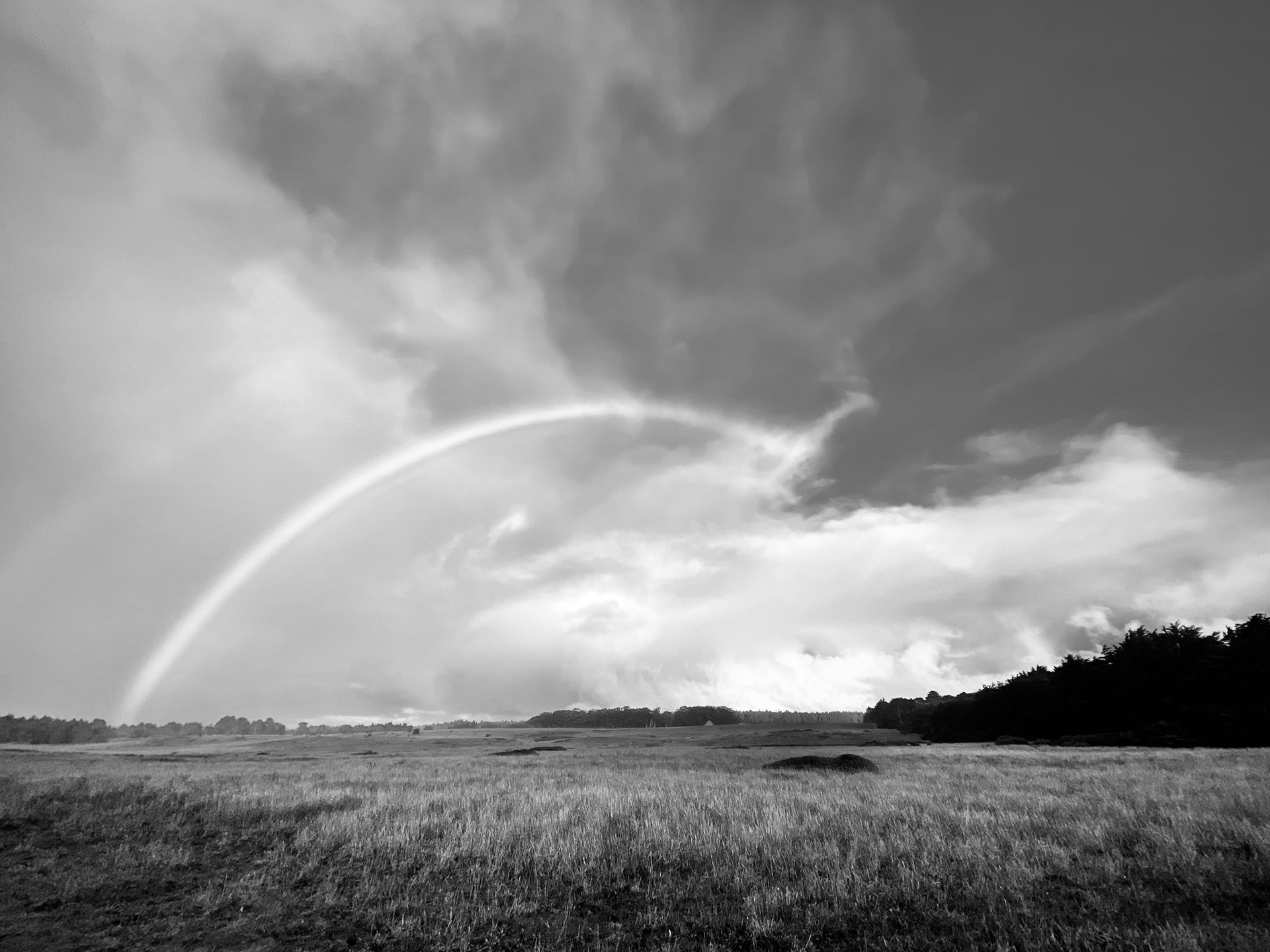 Infinite Possibilities