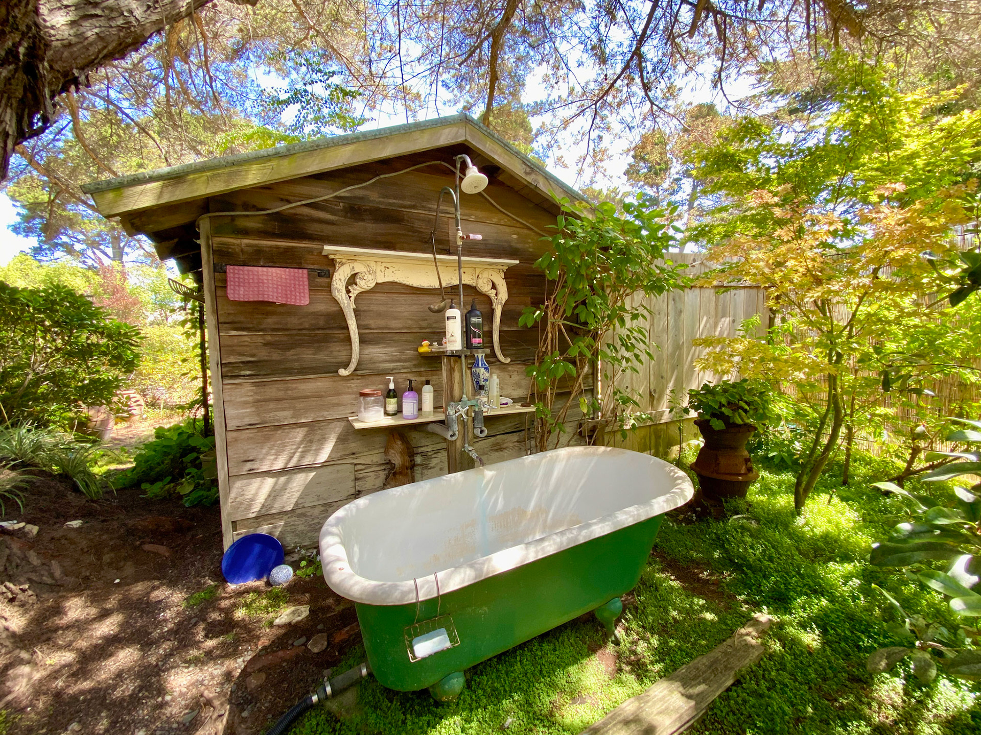 Mendocino Dreams