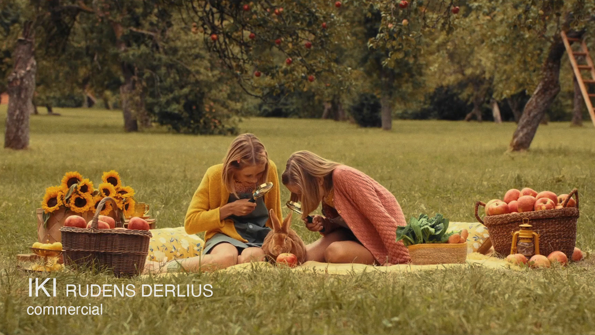 Lina Margaityte and Marius Krivicius Lithuanian cinematographers duo -  IKI rudens derlius commercial