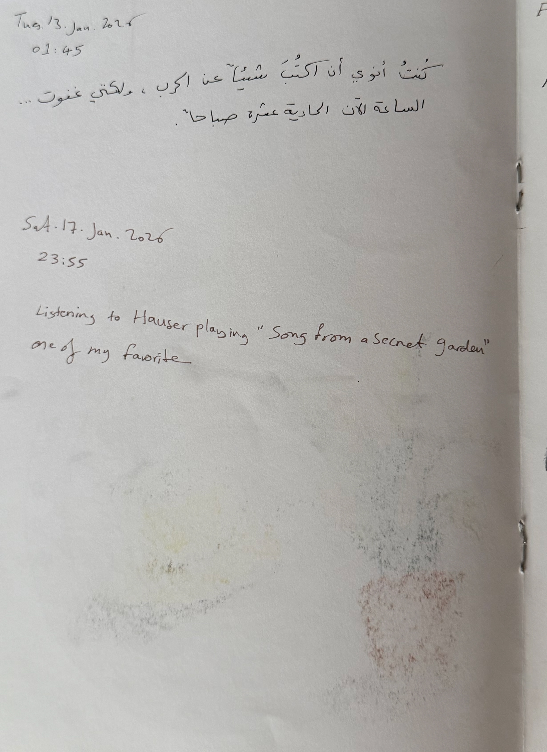 I intended to write something about the war, but I fell asleep