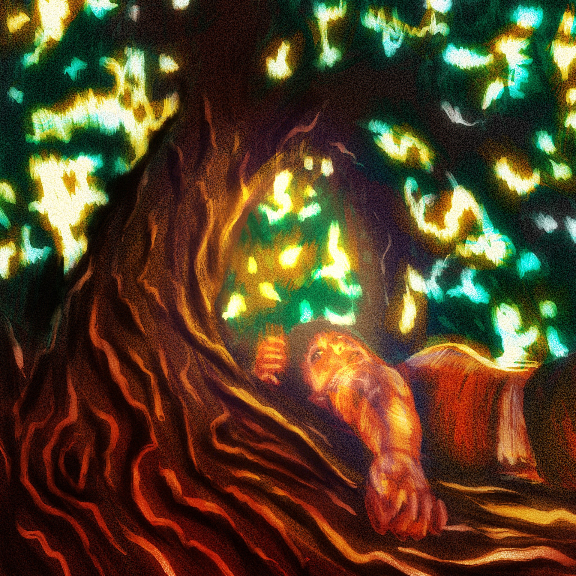 "The Girl in a Tree"