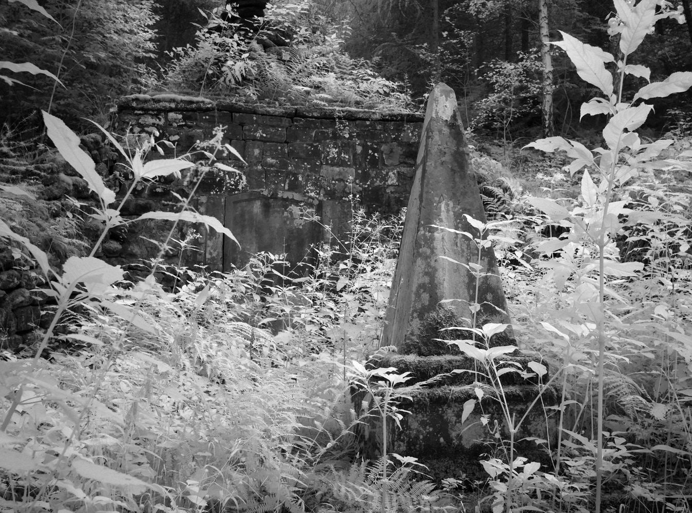 Black and white photograph by Mark Robert Davey of an overgrown grave and crypt n the forest.