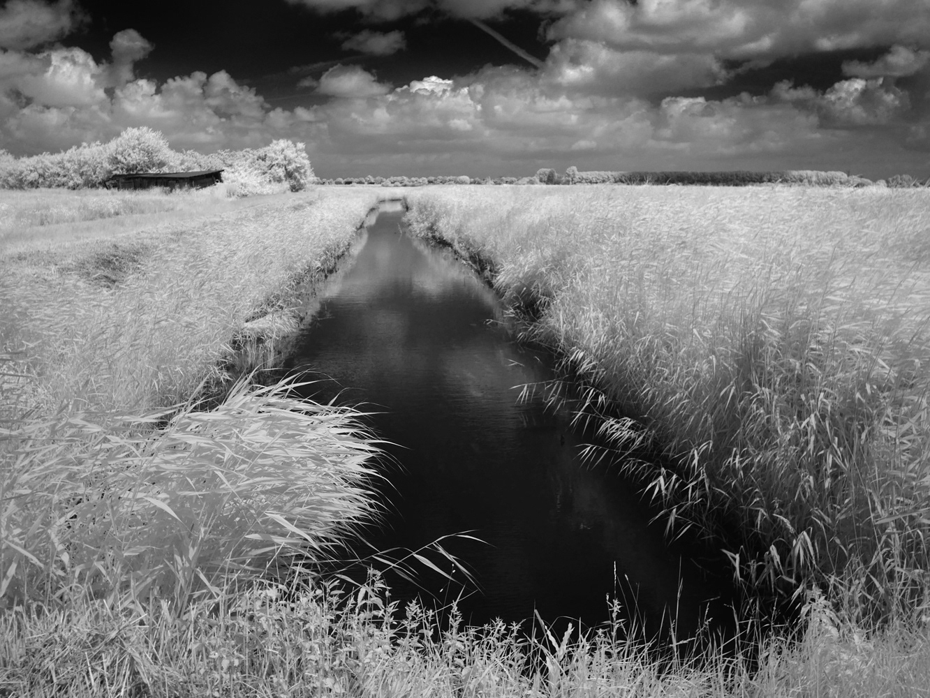 Black and white infrared photograph by Mark Robert Davey showing a canal in the landscape.