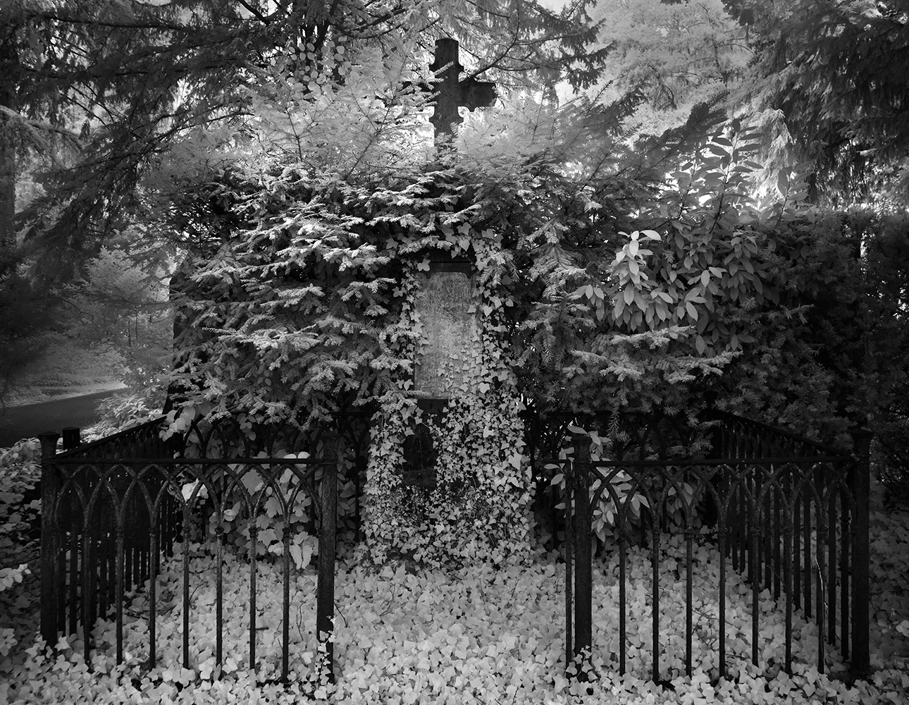 Black and white photograph of Melatenfriedhof - Cologne - Germany